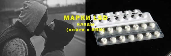 молекула духа Покровск