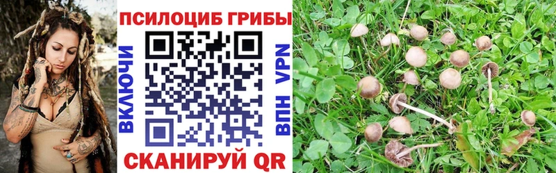 Псилоцибиновые грибы прущие грибы  Купить  Кодинск 